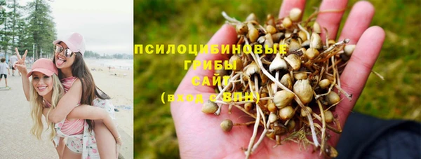 гидропоника Верхний Тагил