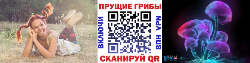 Купить закладки  Курганинск  Псилоцибиновые грибы прущие грибы 